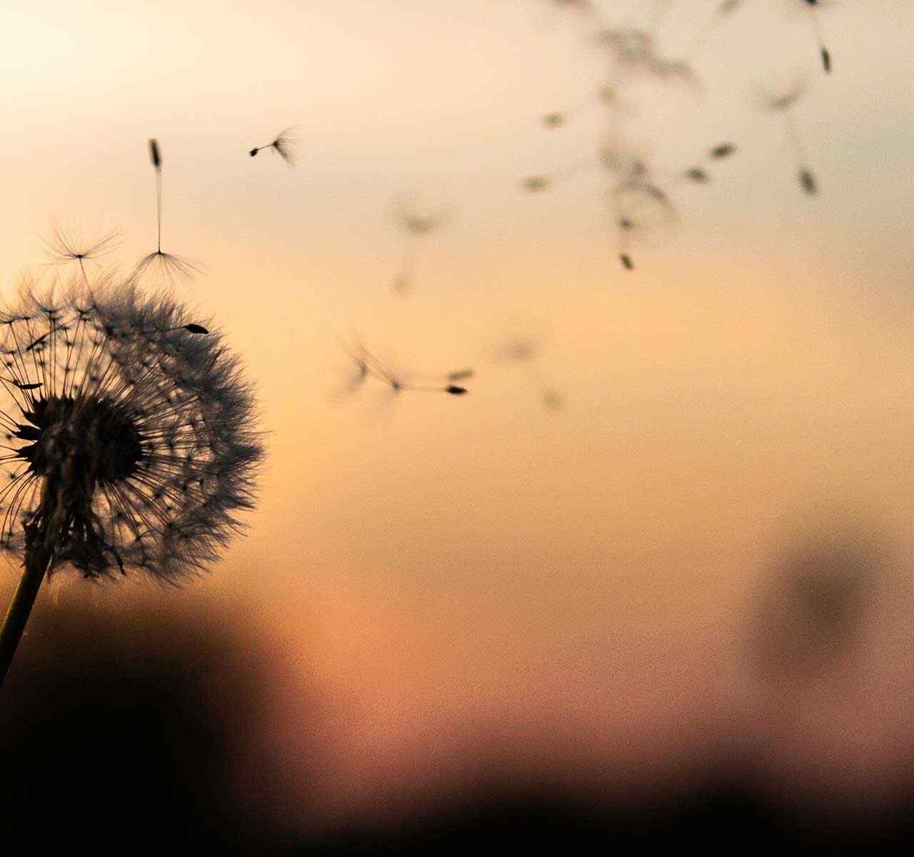 https://mortgagefriend.com/wp-content/uploads/2018/09/post_02-1280x1200.jpg